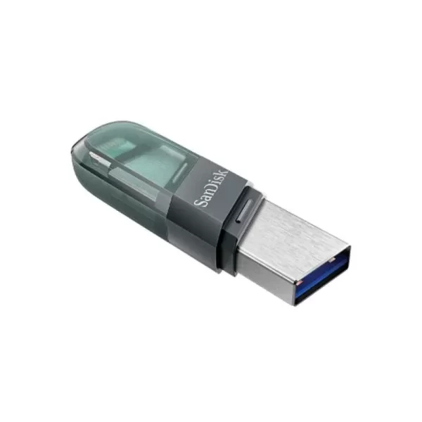 SANDISK IXPAND FLASH DRIVE SDIX90N-256G-GN6NE