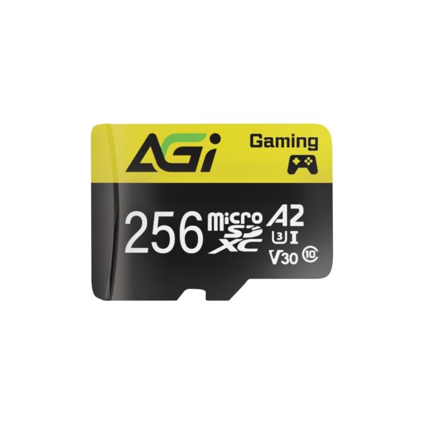 AGI 256GB TF138 MicroSDXC Memory Card
