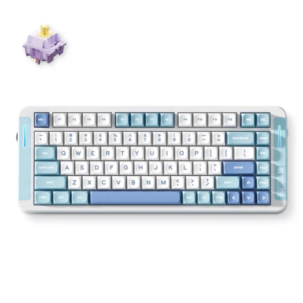 MCHOSE X75 Custom Mechanical Keyboard for Office & Gaming